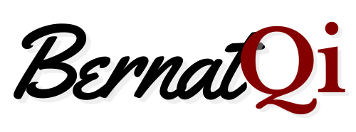 BernatQi Logo